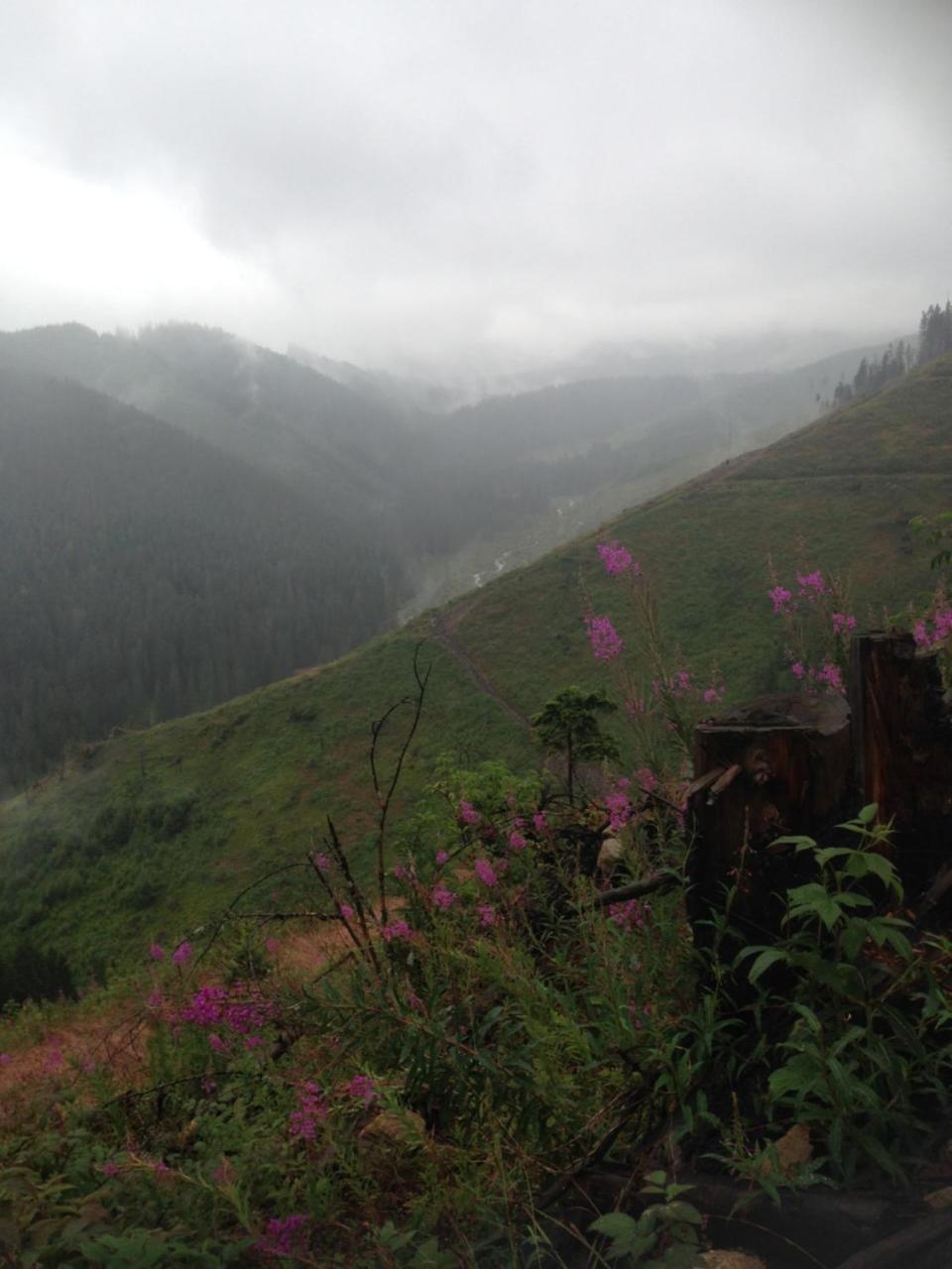 Guest House Privat Pod Lesom เปาชินา เลโฮตา ภายนอก รูปภาพ